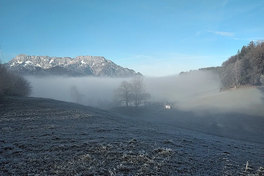 Nebel und Reif auf dem Adneter Riedl, dahinter sonnig mit Untersberg